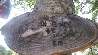 蜜桃视频